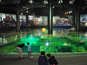 В Стамбуле открыли новый аквариум с видеофильмами 5D